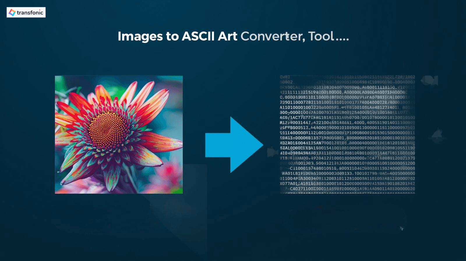 Convert Images to ASCII Art Free Online by Transfonic