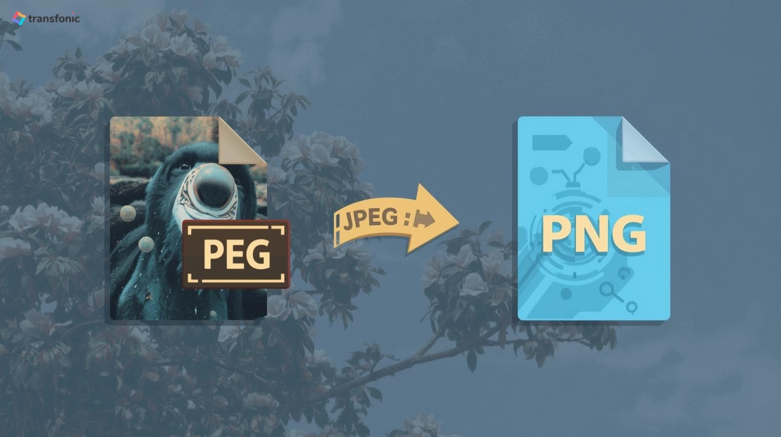 JPEG to PNG: The Complete Conversion Guide